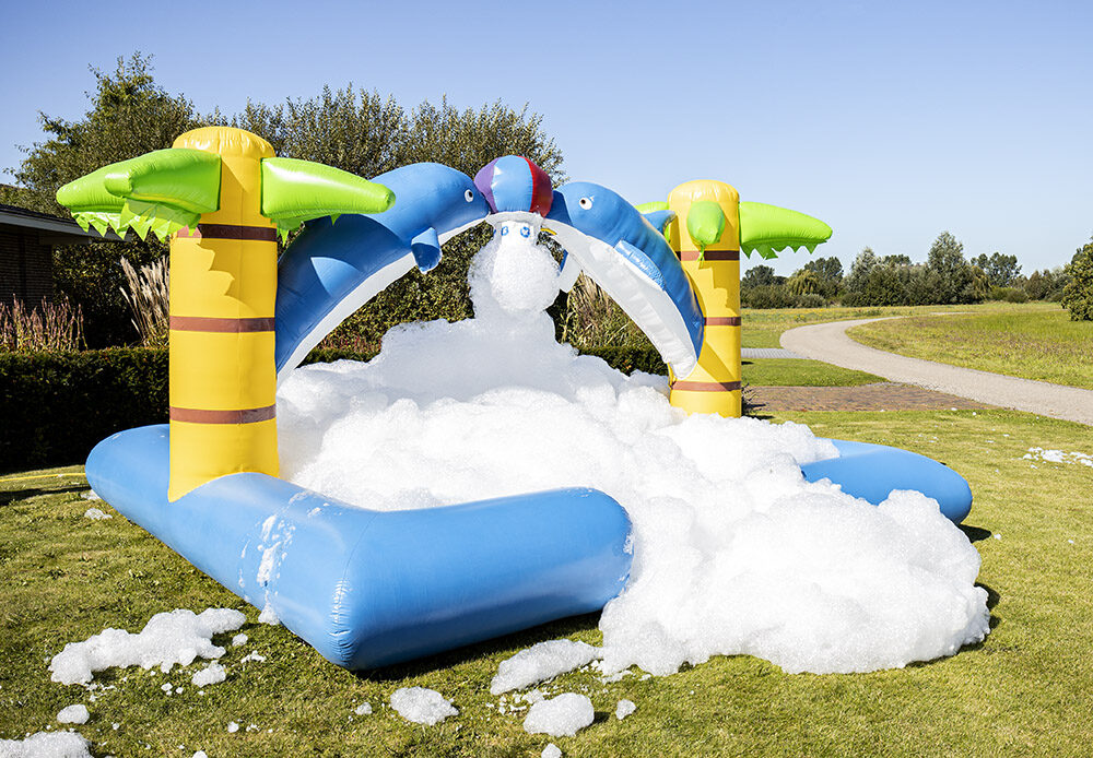 Insuflável Festa Espuma Golfinhos